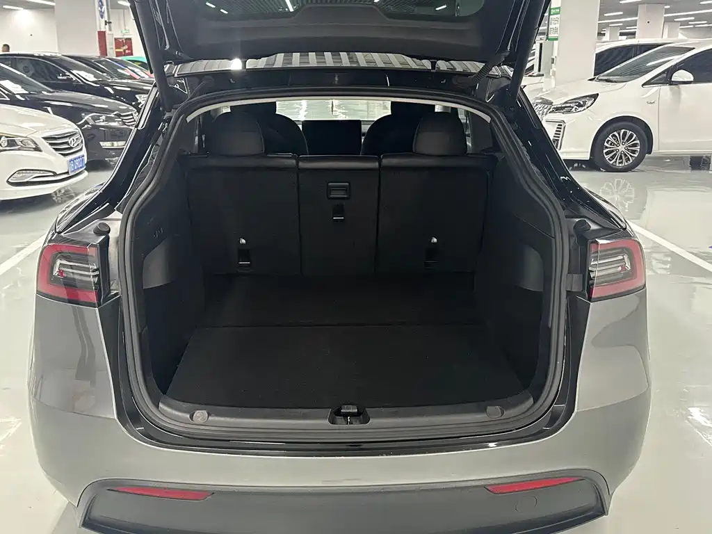 Tesla Model Y — миниатюра 14
