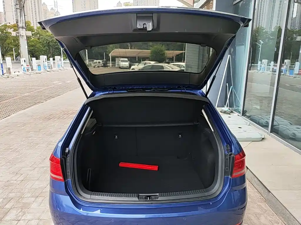 Volkswagen Gran Lavida — миниатюра 19