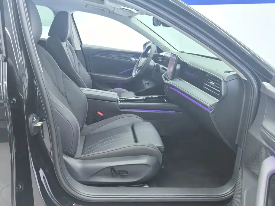 Volkswagen Magotan 2024 300TSI DSG Premium