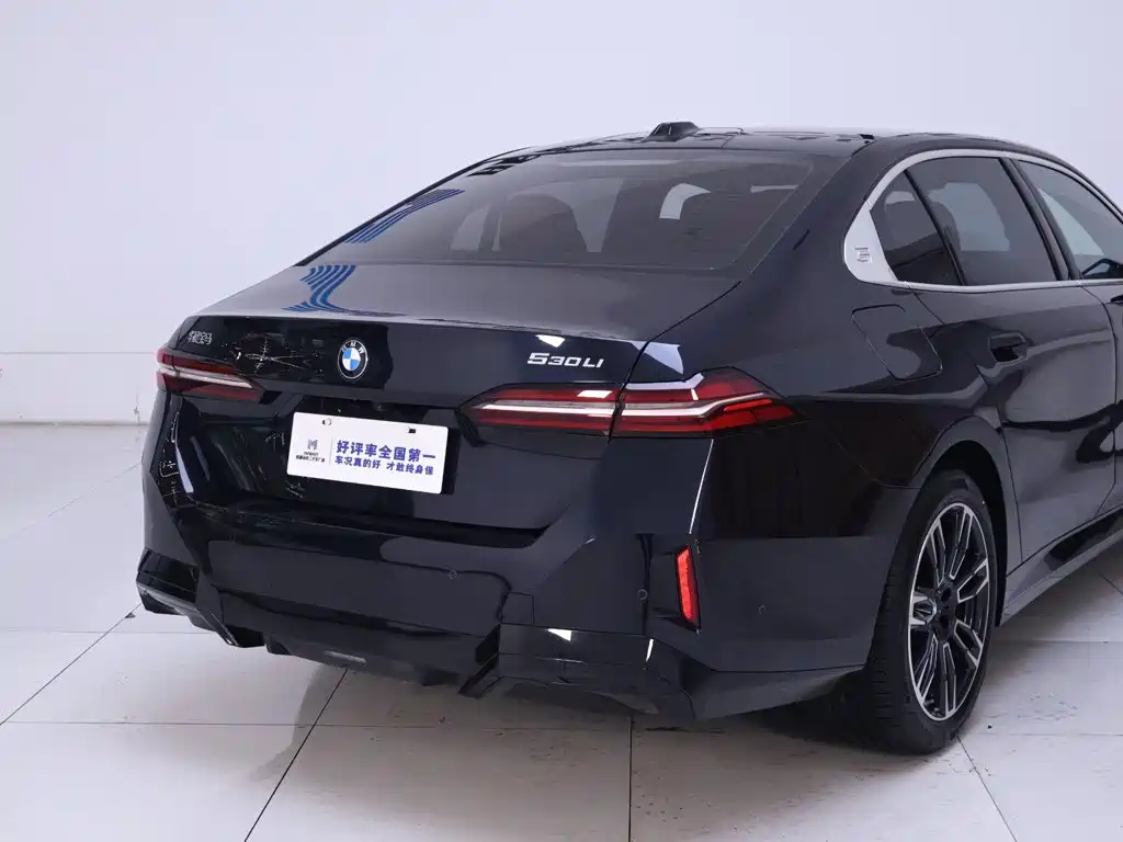 BMW 5 Series — миниатюра 8
