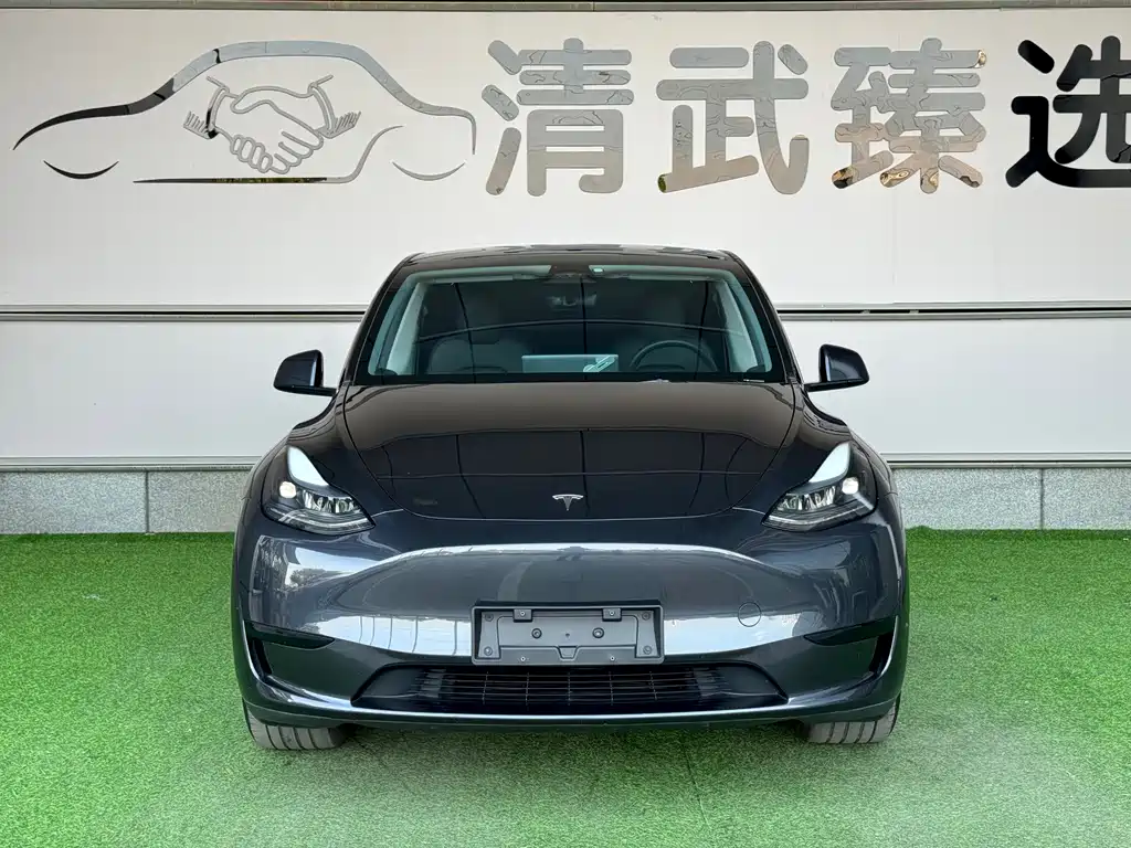 Tesla Model Y — миниатюра 2