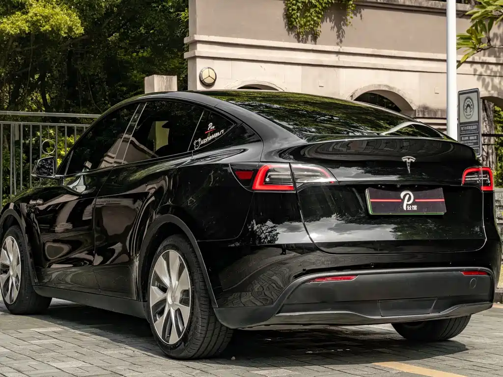 Tesla Model Y — миниатюра 4