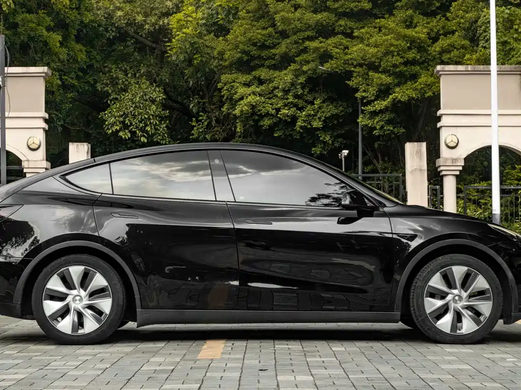 Tesla Model Y — миниатюра 7