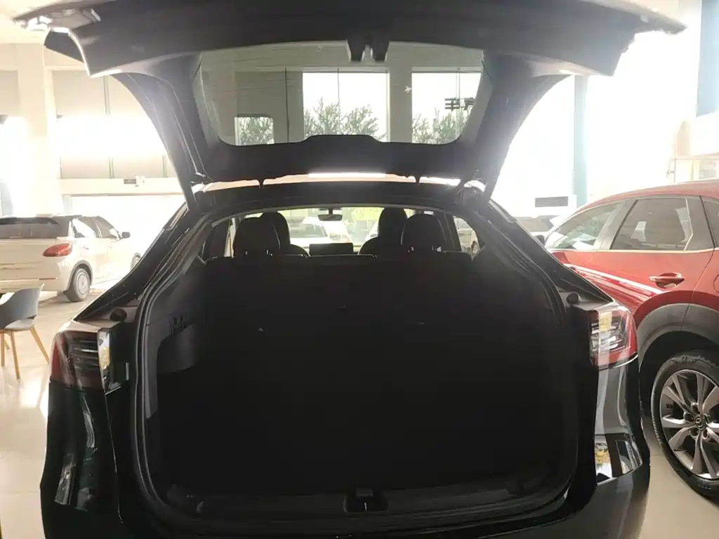 Tesla Model Y — миниатюра 19