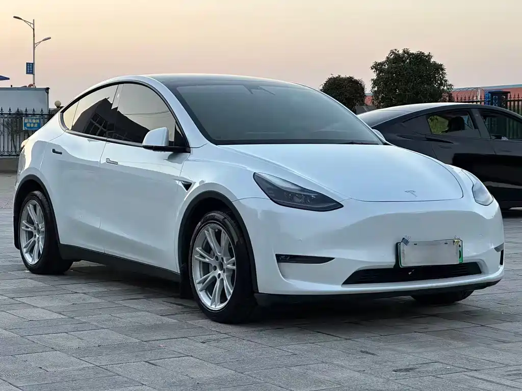 Tesla Model Y — миниатюра 3