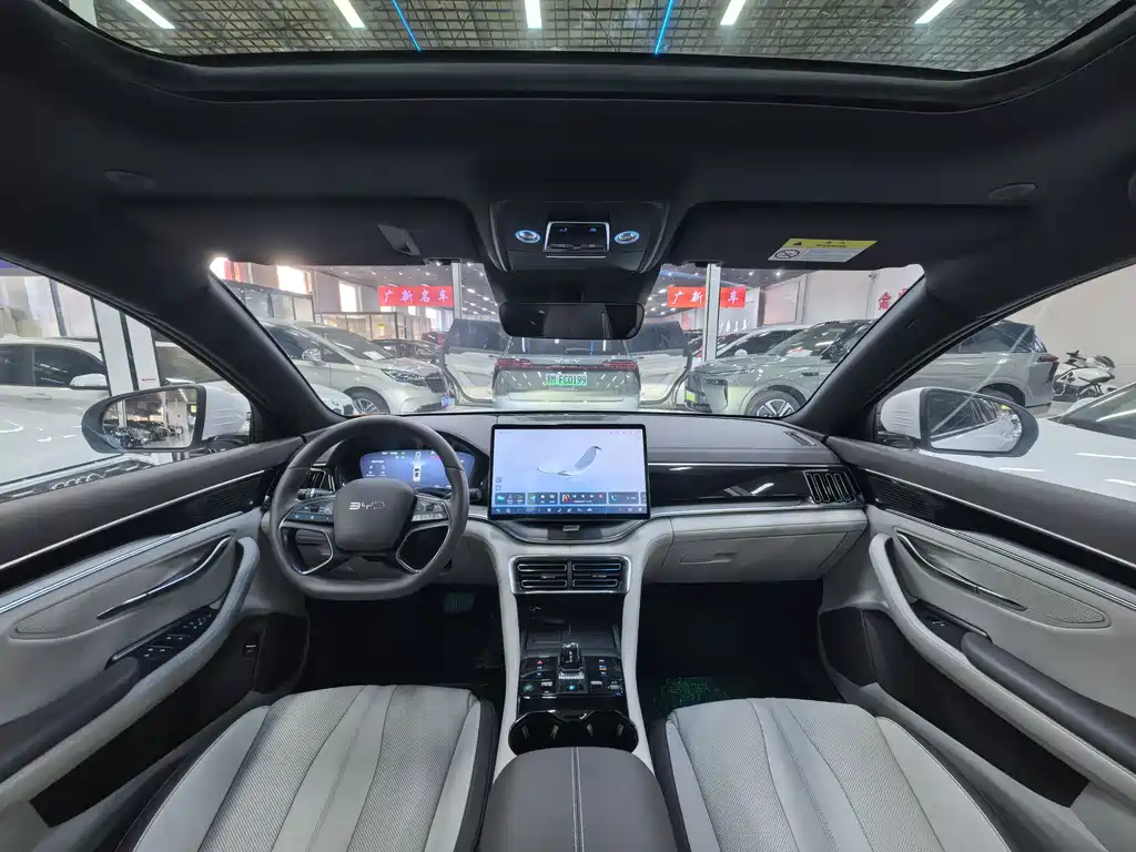 BYD PLUS New Energy — миниатюра 6