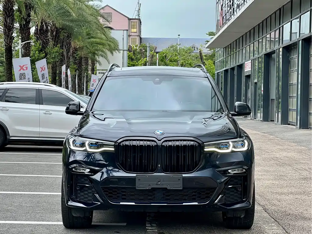 BMW X7 — миниатюра 2