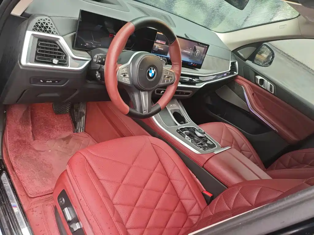 BMW X5 — миниатюра 8