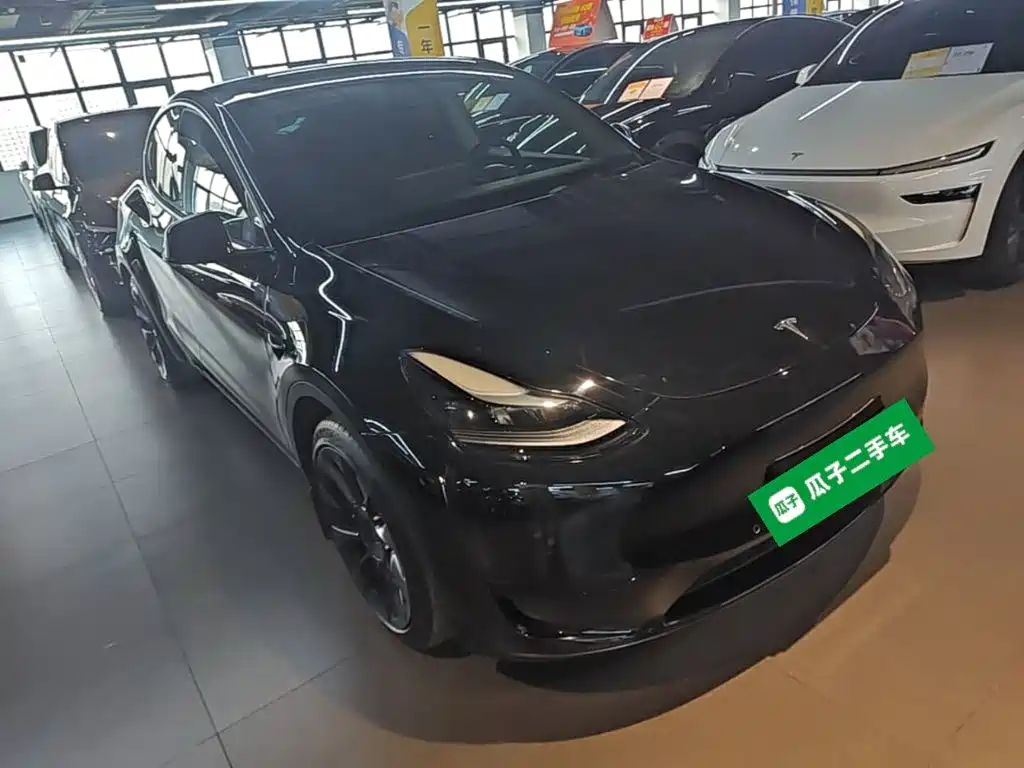 Tesla Model Y — миниатюра 4