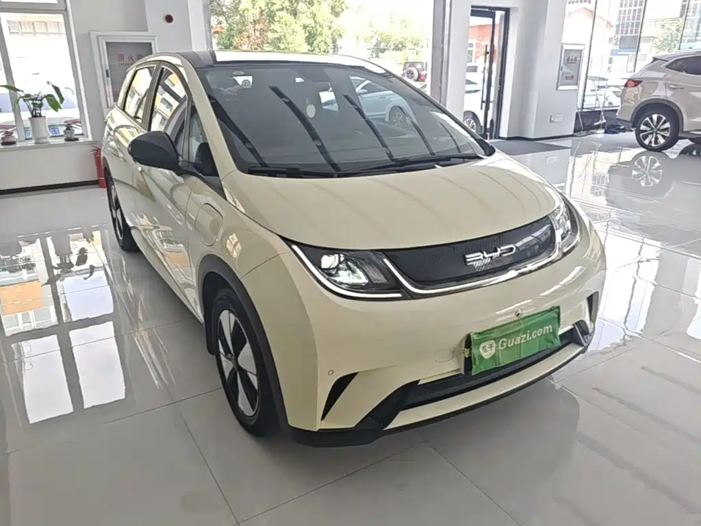 BYD Dolphin — миниатюра 4