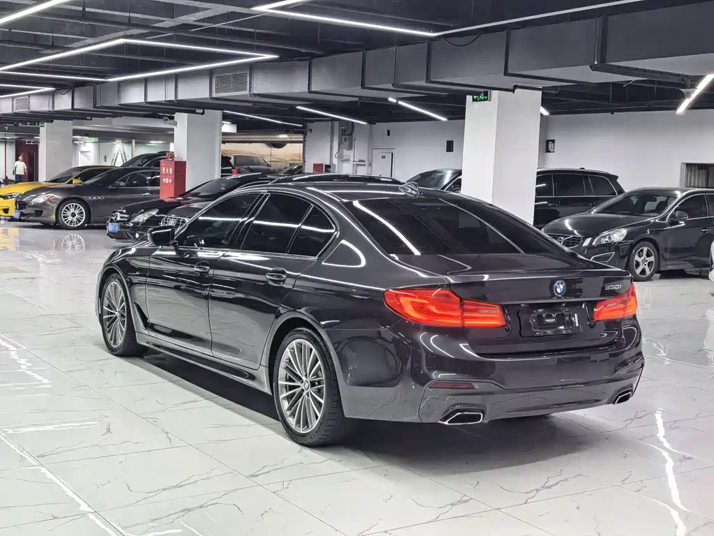 BMW 5 Series 5 2019 530i M Sport