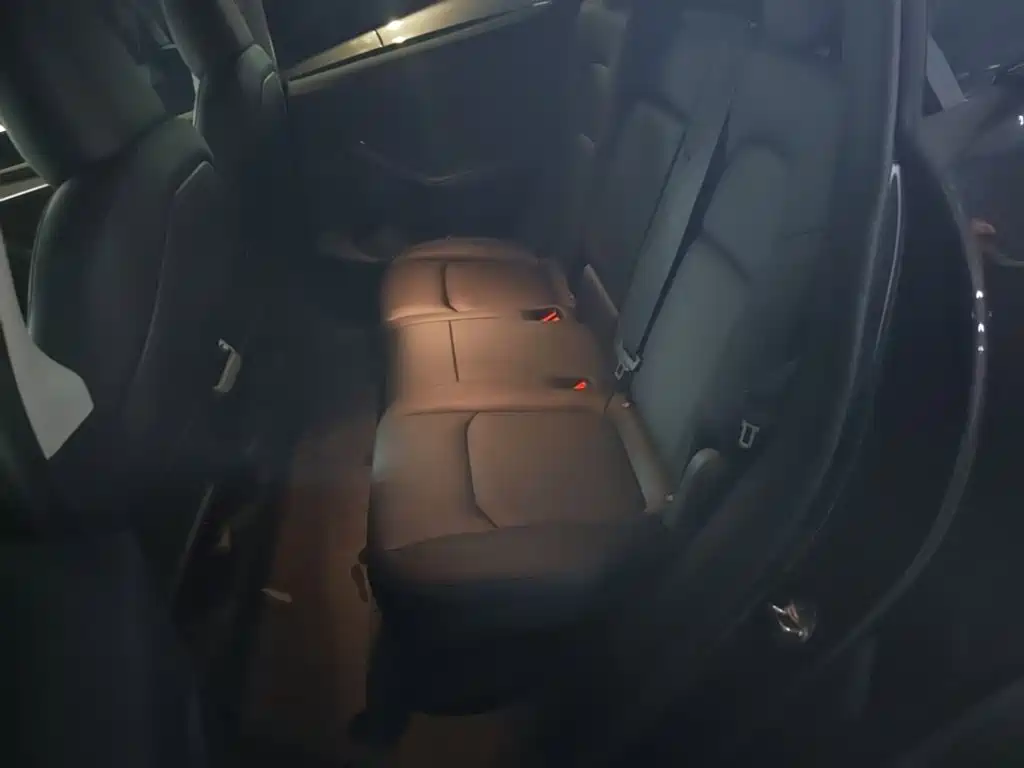 Tesla Model Y — миниатюра 17