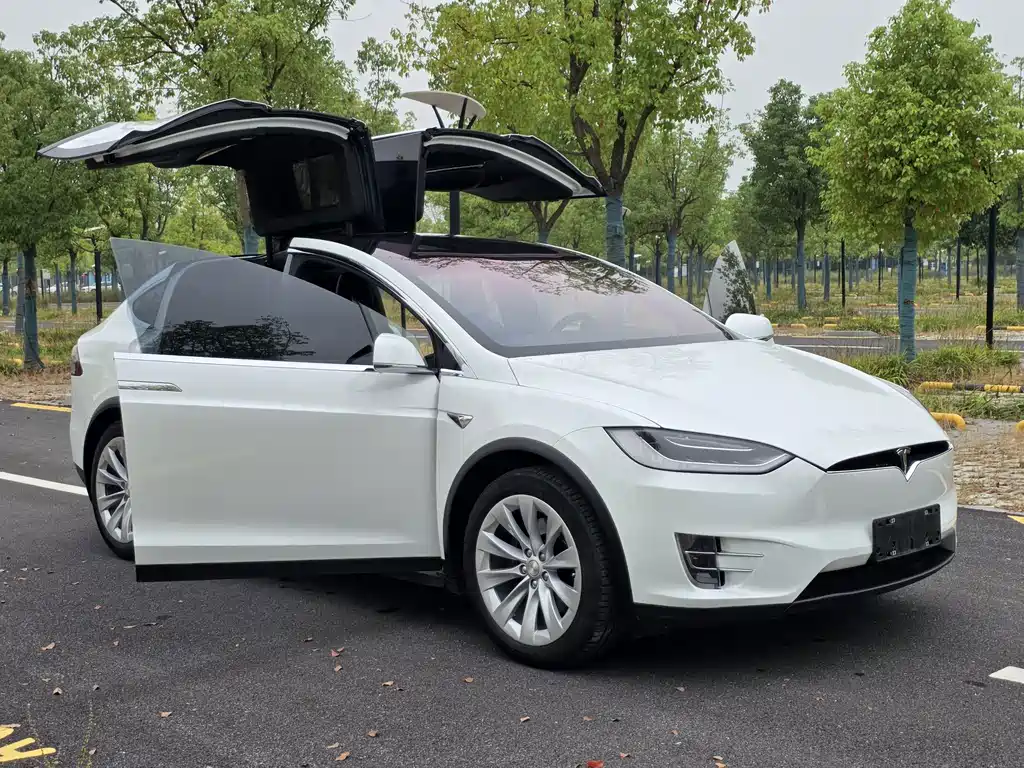 Tesla Model X — миниатюра 23