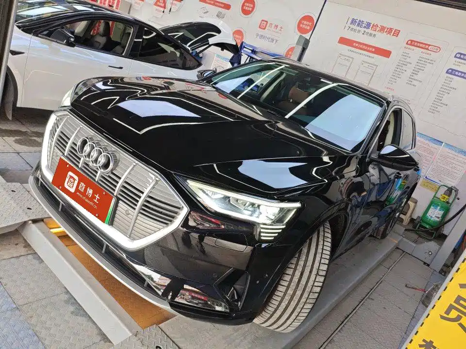Audi e-tron (Import) — фото 1