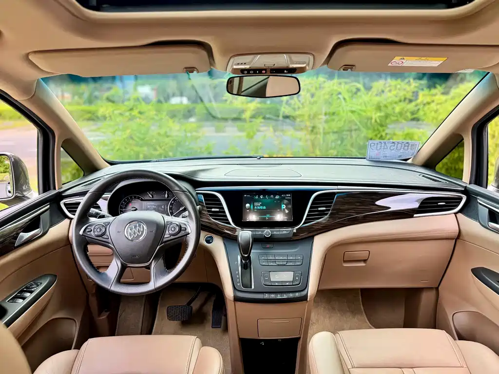 Buick GL8 — миниатюра 8