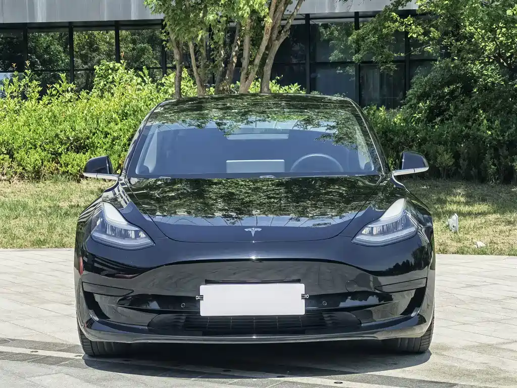 Tesla Model 3 — миниатюра 2