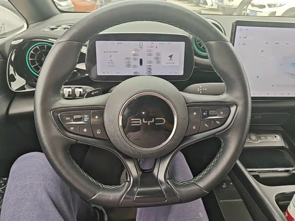 BYD Dolphin — миниатюра 11