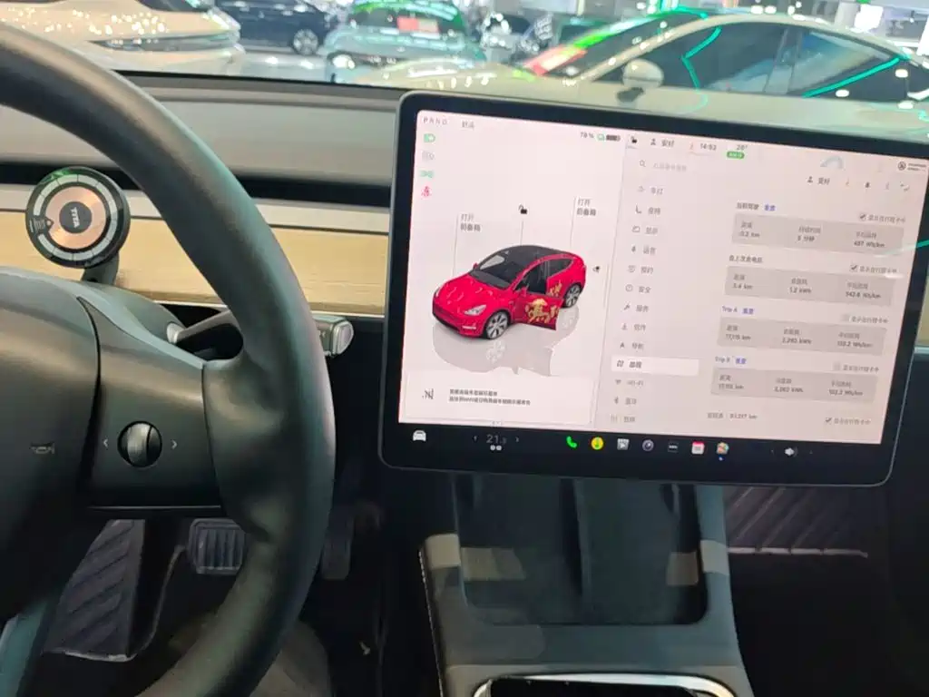 Tesla Model Y — миниатюра 13