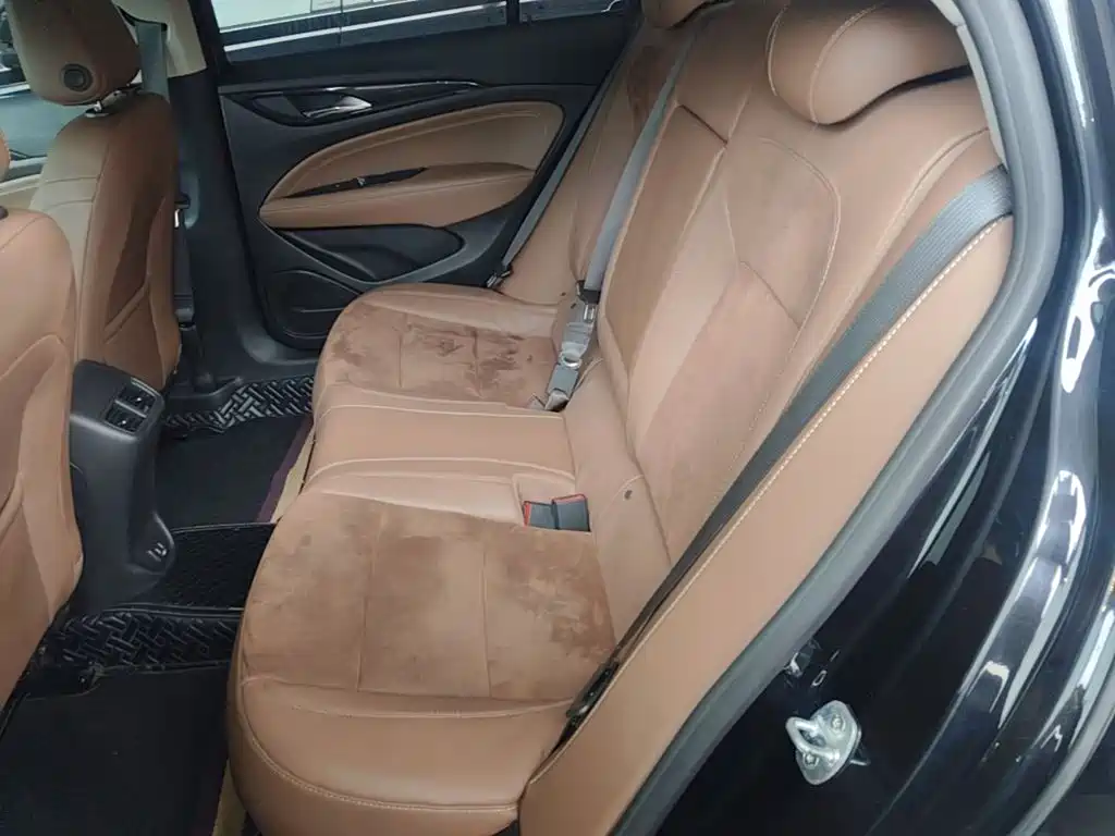 Buick Regal — миниатюра 17
