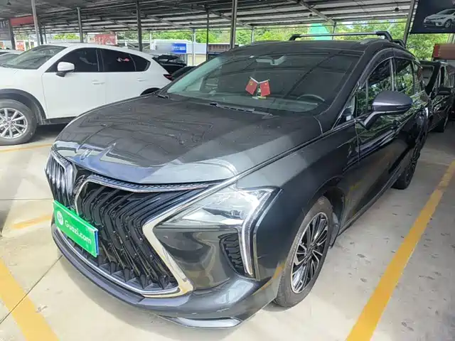 Dongfeng Forthing Forthing Yacht