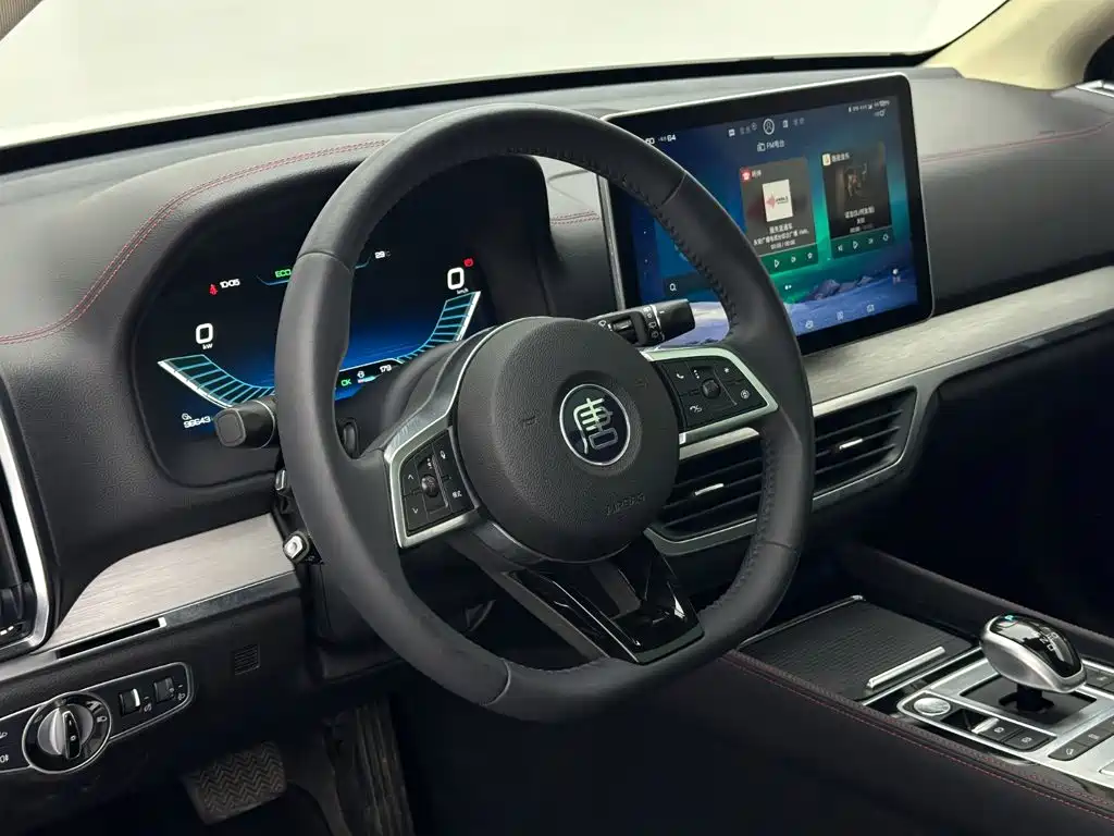 BYD Tang New Energy — миниатюра 10