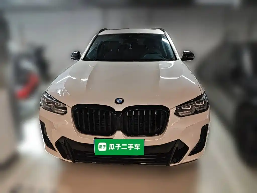 BMW X3 — миниатюра 2
