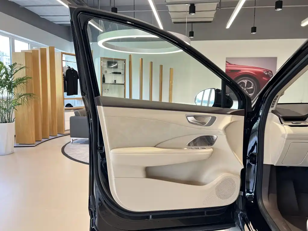Сангтан Sangtang H5 — миниатюра 7