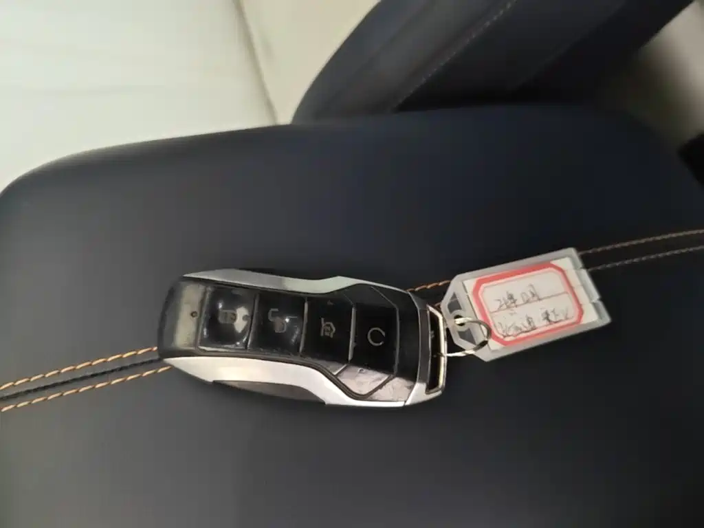 BYD PLUS New Energy — миниатюра 9