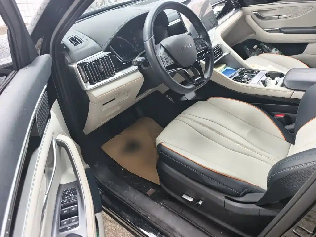 BYD PLUS New Energy — миниатюра 17