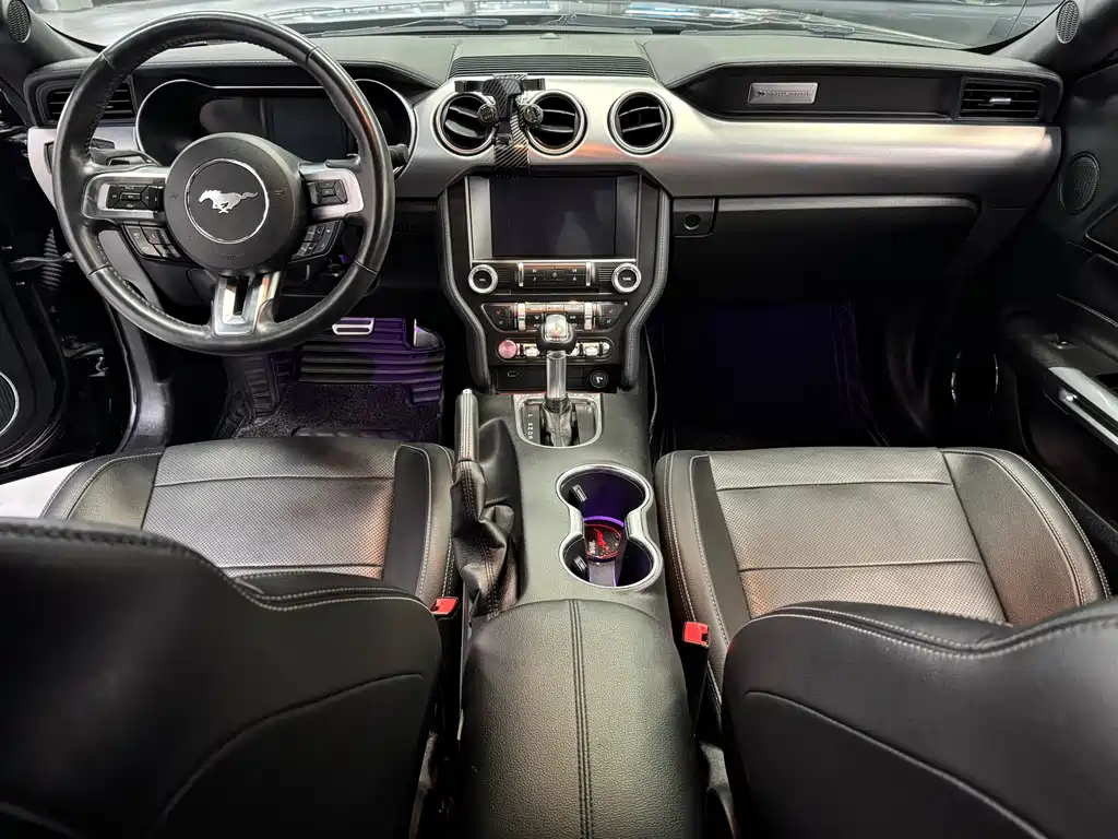 Ford Mustang — миниатюра 11