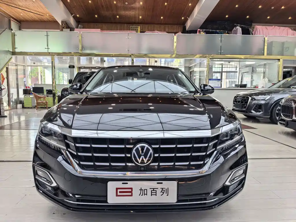 Volkswagen Passat — миниатюра 2