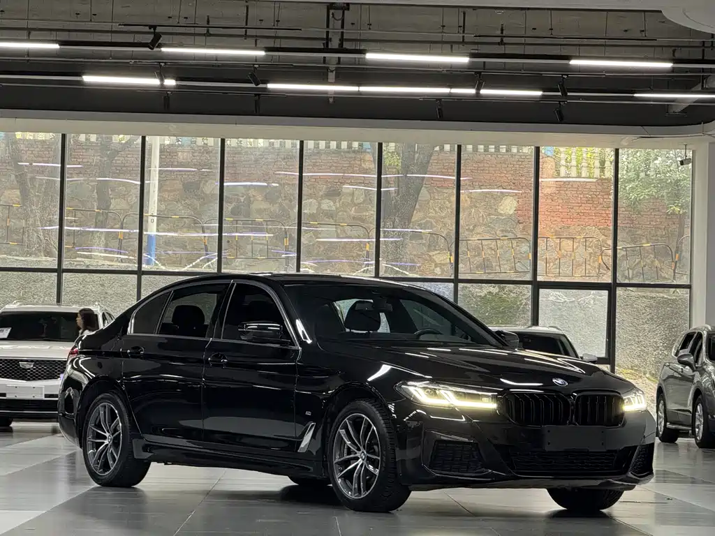 BMW 5 Series — миниатюра 3