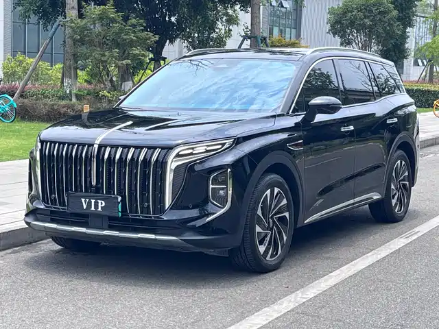 2025 Hongqi HS7