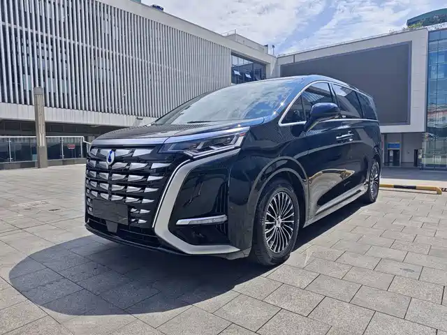 2025 Denza D9