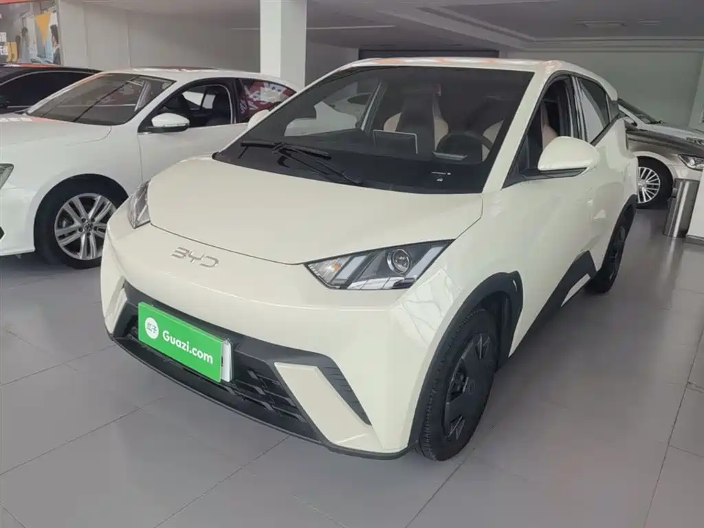 Byd Seagull 2024