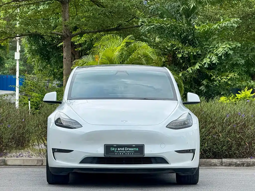 Tesla Model Y — миниатюра 2