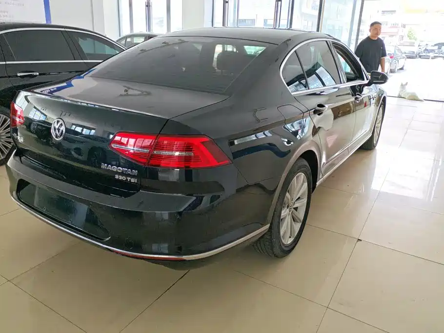 Volkswagen Magotan — миниатюра 2