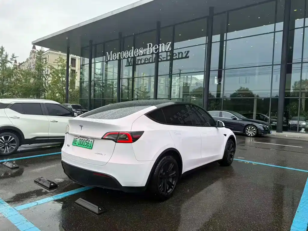 Tesla Model Y — миниатюра 6