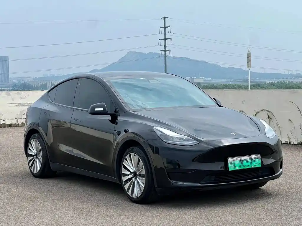 Tesla Model Y — миниатюра 6