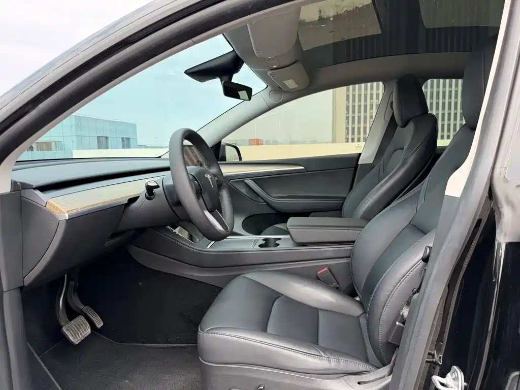 Tesla Model Y — миниатюра 7