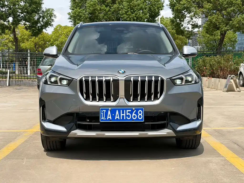 BMW X1 — миниатюра 2