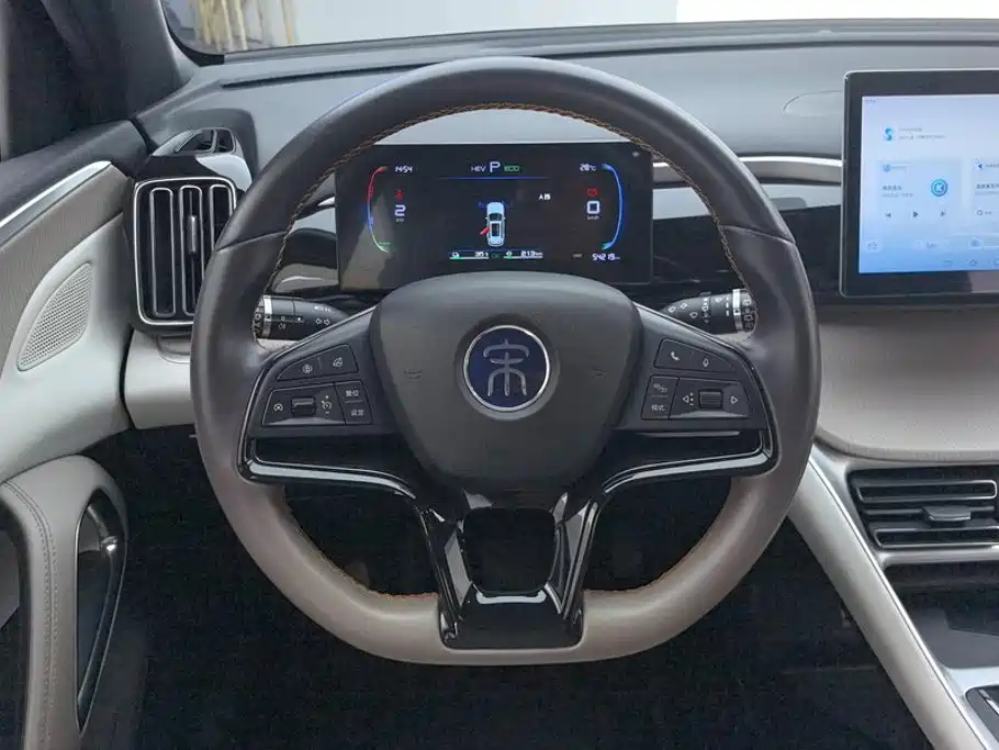 BYD Pro New Energy — миниатюра 15