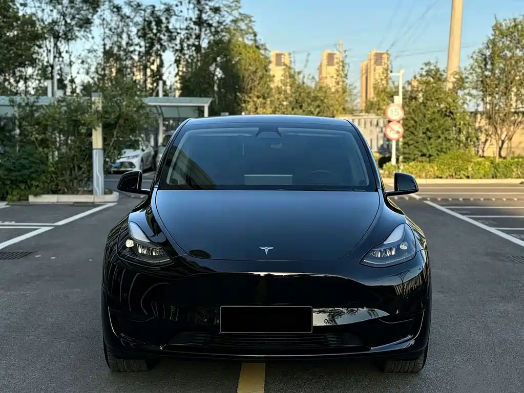 Tesla Model Y — миниатюра 3