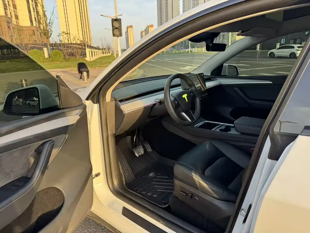 Tesla Model Y — миниатюра 4