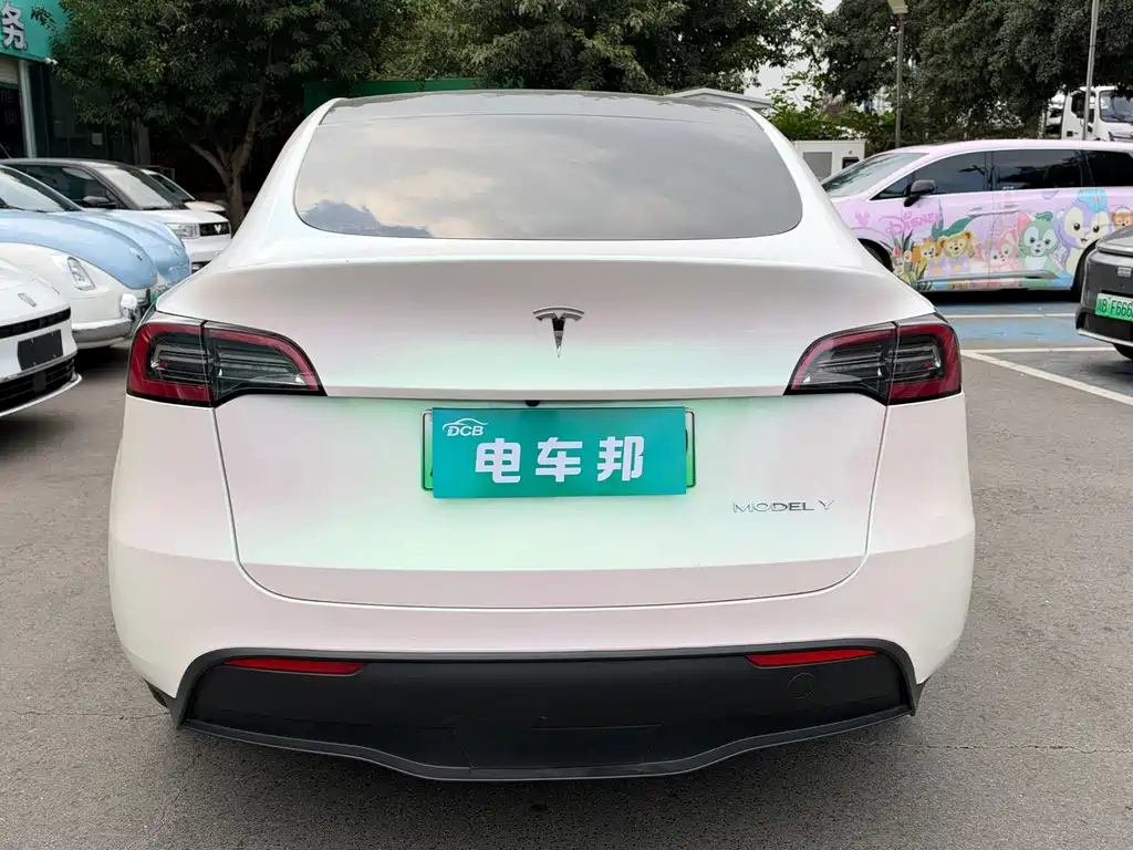 Tesla Model Y — миниатюра 8