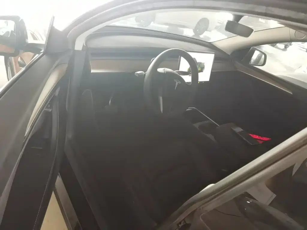 Tesla Model Y — миниатюра 16
