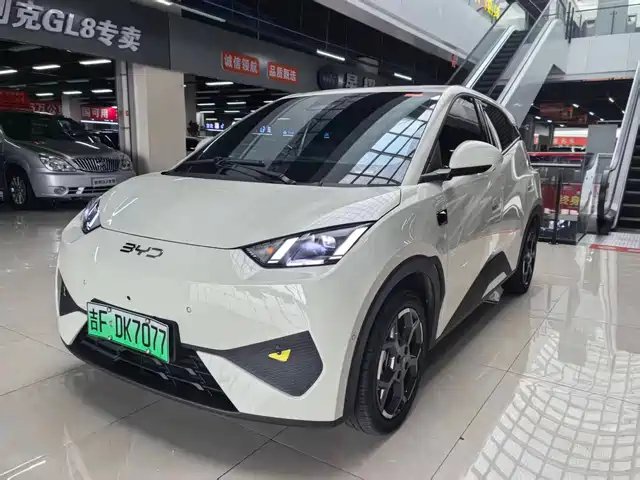 2025 BYD Seagull