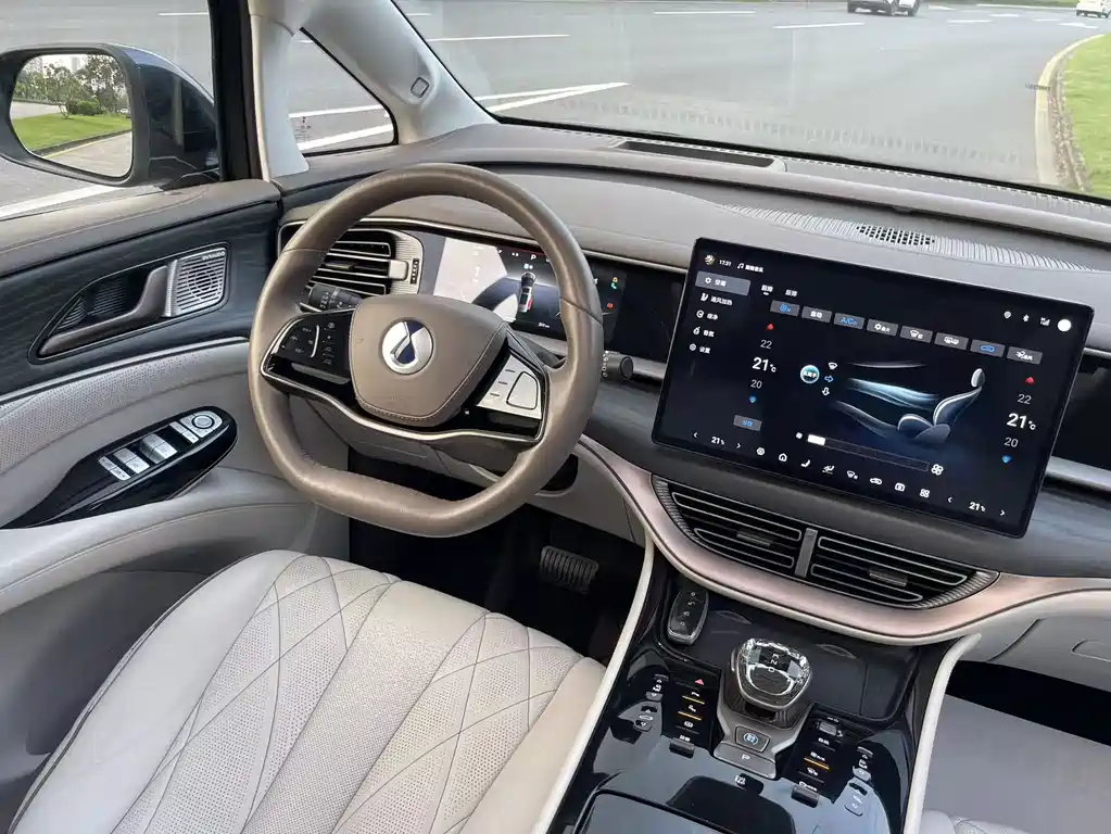 Denza Denza D9 — миниатюра 15