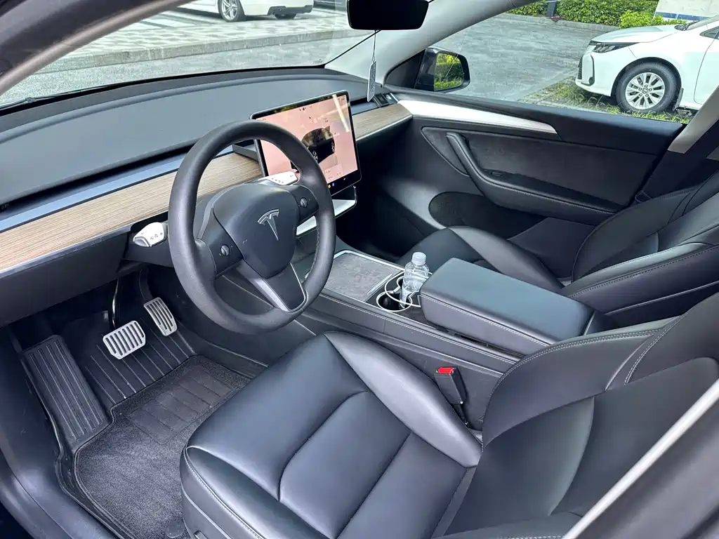 Tesla Model Y — миниатюра 5