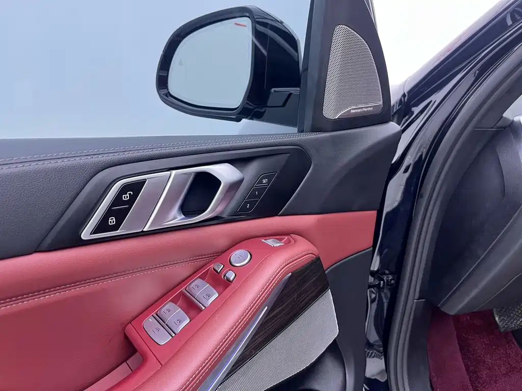 BMW X5 — миниатюра 19